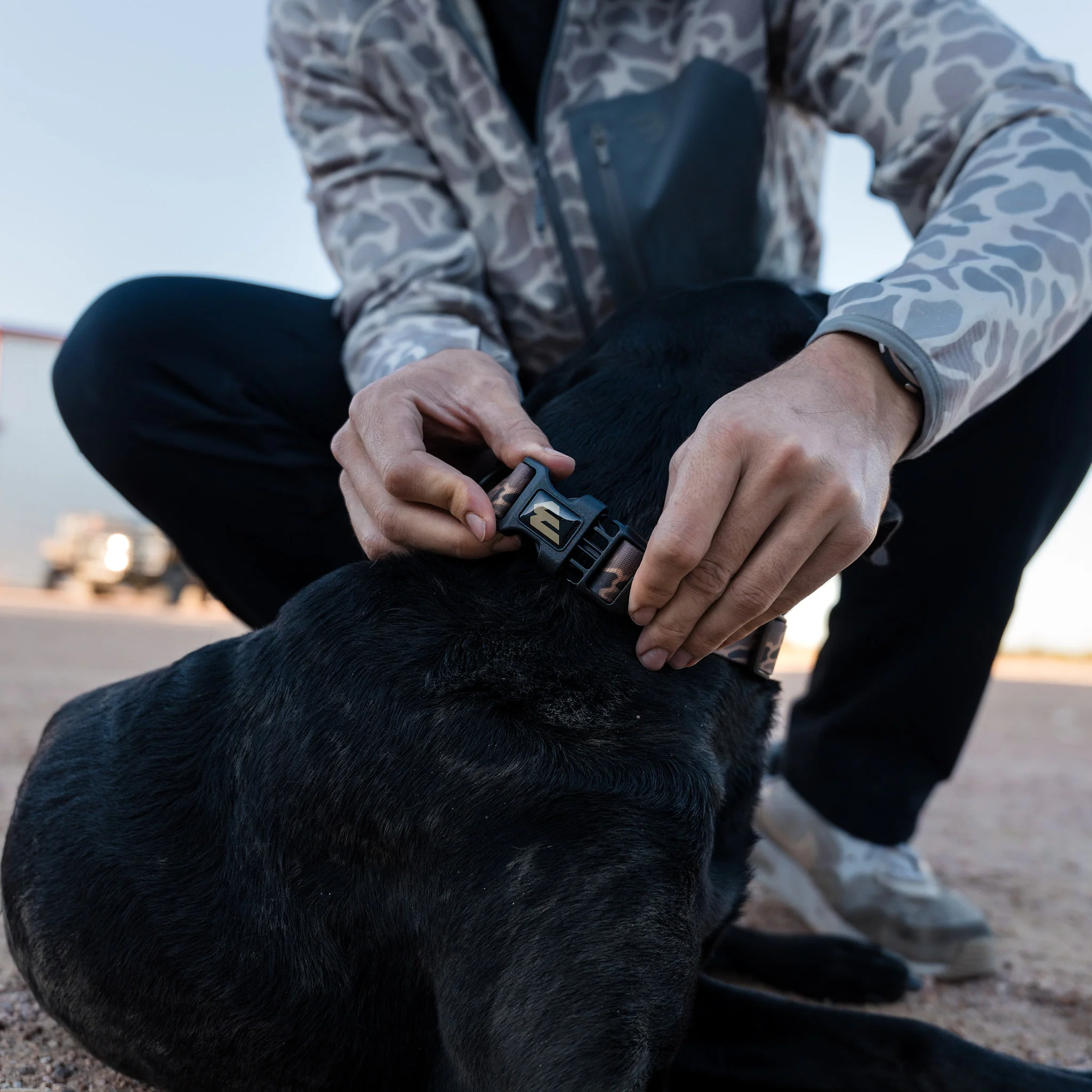 Dog Collar - Gauge Camo