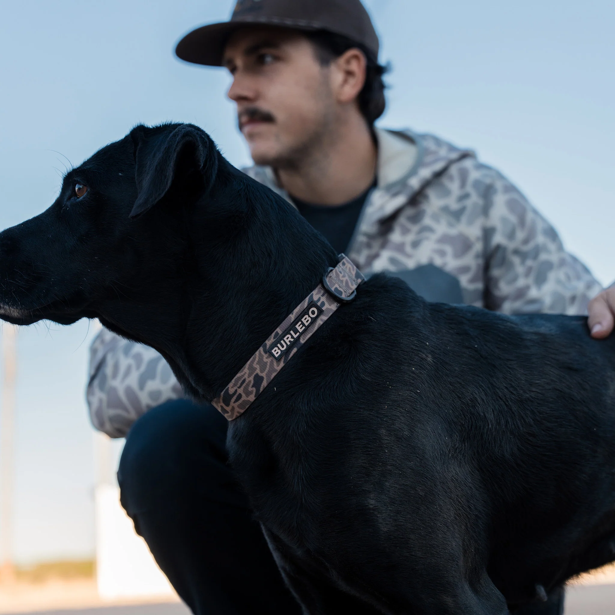 Dog Collar - Gauge Camo