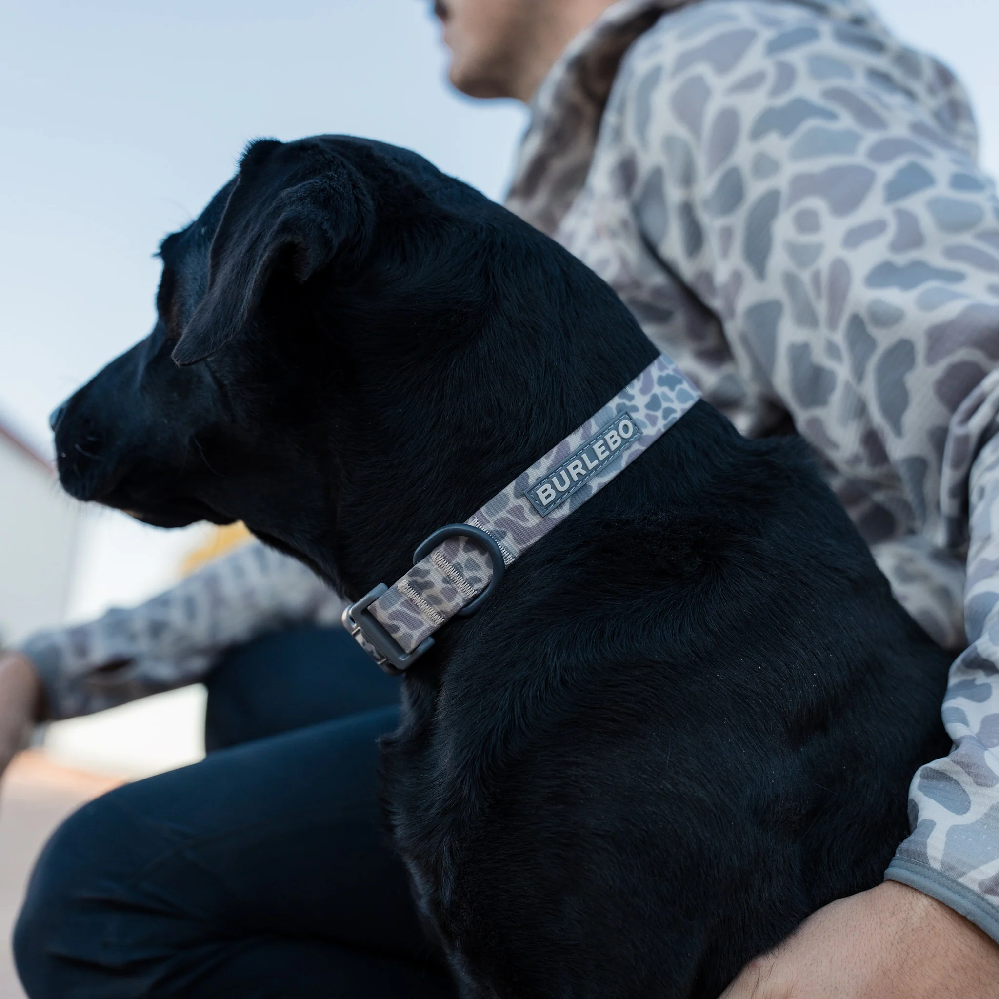 1091-dog-collar-classic-deer-camo-1.webp Dog Collar - Classic Deer Camo