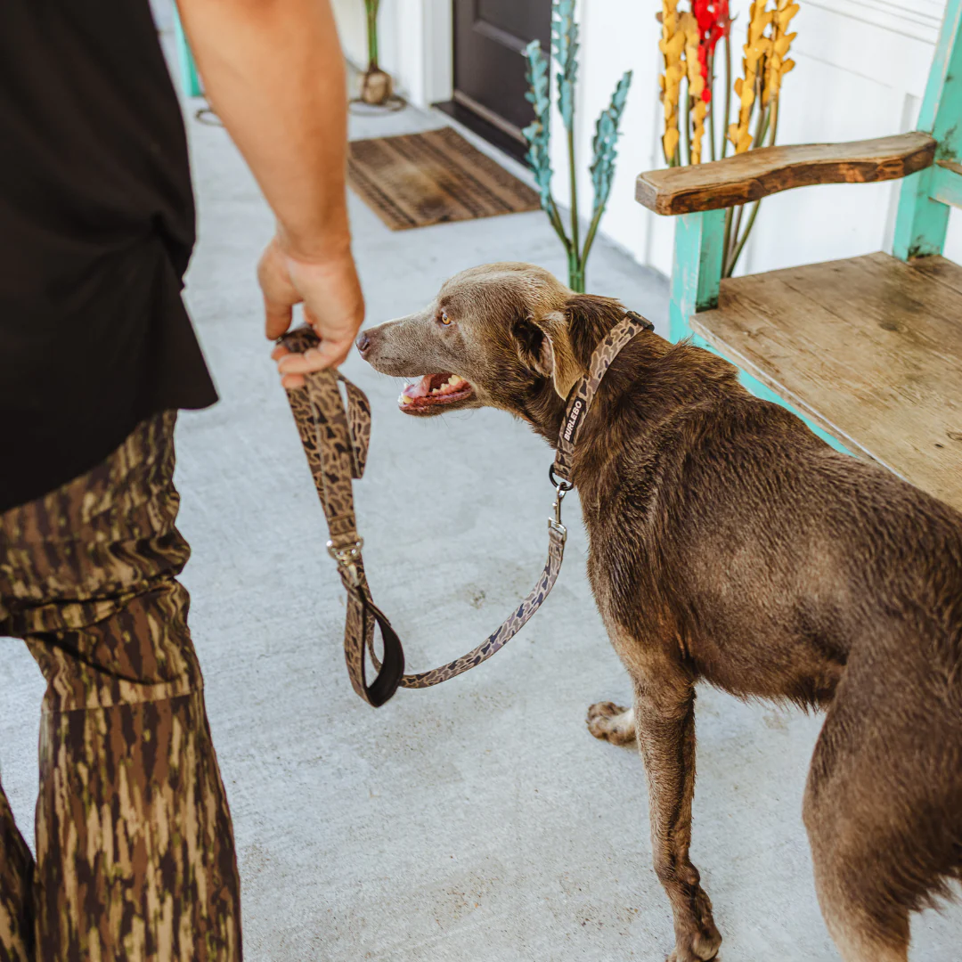 Dog Leash - Gauge Camo