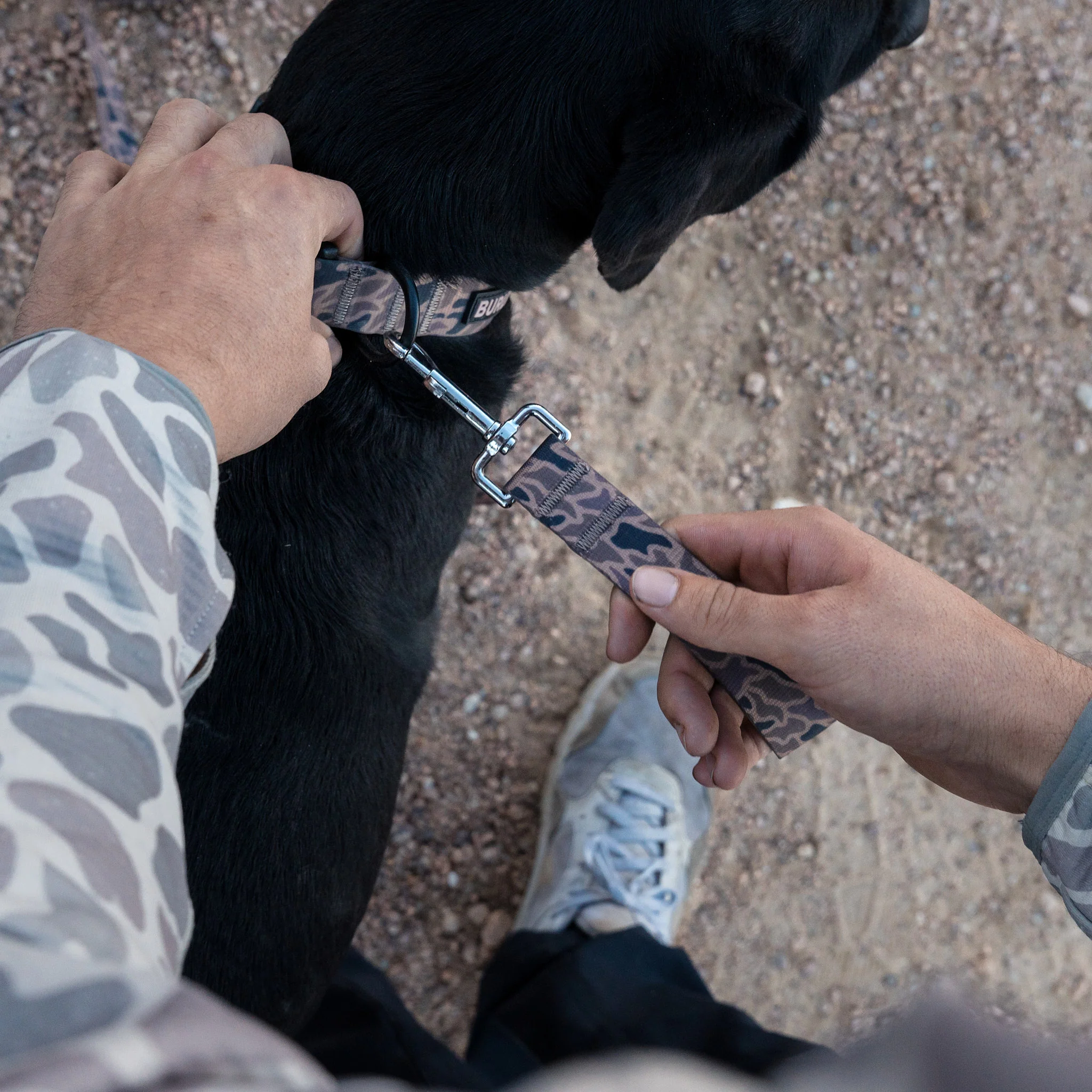 Dog Leash - Gauge Camo